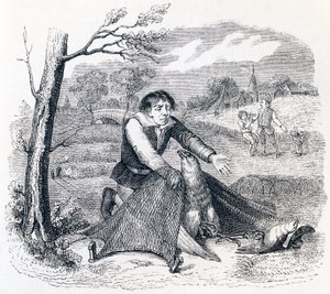 Fuglefangeren, gåhøgen og lærken - fabler af La Fontaine af Grandville