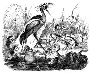 Frøerne spørger kongen, illustration fra 