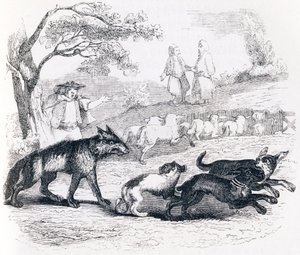 Bassaen og købmanden - Fabler af La Fontaine af Grandville
