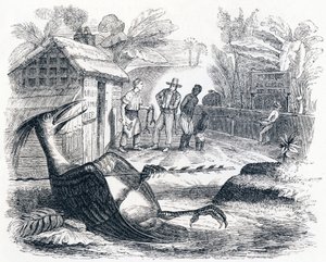 Fuglen gør ondt af en pil - Fabler af La Fontaine af Grandville