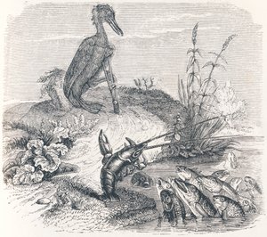 Fiskene og skarven - Fabler af La Fontaine af Grandville