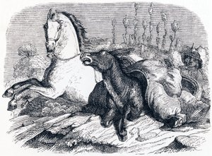 Hesten og æslet - Fabler af La Fontaine af Grandville