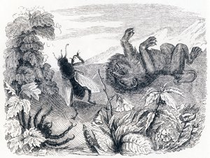 Løven og Midten - Fabler af La Fontaine af Grandville