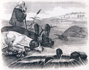 De to hunde og det døde æsel - Fabler af La Fontaine af Grandville