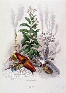 Tobaksplante og rygeredskaber - i "" Animerede blomster"" af Grandville af Grandville