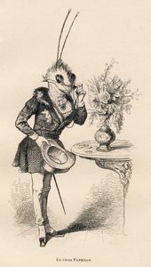 En gammel sommerfugl ser på tiden med sine briller. Miniaturer illustreret af JJ Granville. Gravering signeret Breviere i delen med titlen "En sommerfugls eventyr" skrevet af PJ Stahl i "Scener fra dyrenes private og offentlige liv". Paris, J. af Grandville
