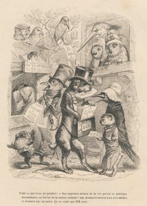 Her er hvad det lige er dukket op. Kat og fugl sælger denne bog for seks øre. Vignetter illustreret af JJ Granville. Gravering signeret Andrew, Best og Leloir i prologen med titlen "Parlamentary summary" skrevet af PJ Stahl i "Scenes of life" af Grandville