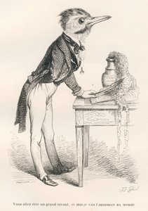 Du vil blive en stor lærd, og jeg vil bekendtgøre det til verden. Vignetter illustreret af JJ Granville. Gravering signeret Tamisier i sektionen med titlen "Guide-ass for the use of animals who want to achieve æres" skrevet af Honore De Balzac i af Grandville