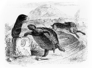 The Hare and the Tortoise, illustration til 