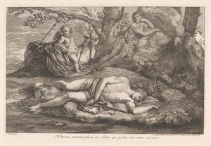 Narcissus i ekko Narcissus forvandlet til en blomst, der bærer hans navn (titel på objekt)