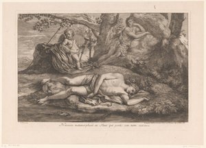 Narcissus i ekko Narcissus forvandlet til en blomst, der bærer hans navn (titel på objekt)