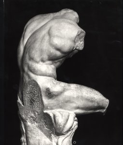 Belvedere torso (marmor) (s/h foto) af Greco Roman Greco Roman