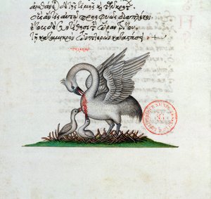 Ms 3401 En pelikan, der gennemborer sit bryst for at fodre sine unge, fra et bestiary af Manuel Philes, 1566 af Greek School