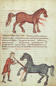 Ms Grec 2244 fol.4 Operation af en hest af Greek School