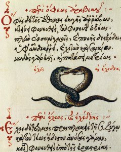 Slangekobling, test og miniature fra De animalium natura et proprietate libellus, af Aelianus (2.-3. århundrede e.Kr.) af Greek School