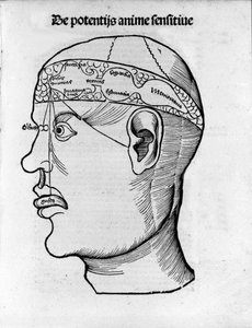 Hjerneskæring: undersøgelse til lokalisering af forskellige hjernefunktioner. Indgravering fra "Margarita phylosophia" af Gregor Reisch (1467-1525), Bale