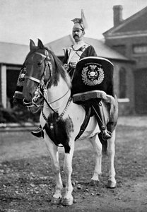 The 17th Lancers trommehest, 1896