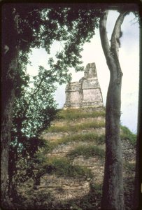 Indskrifternes tempel, ca. 700 e.Kr af Guatemalan School