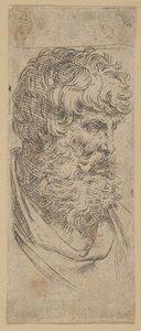 Buste af en skægget mand, ca. 1600-1640. af Guido Reni