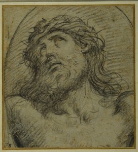 Hoved og skuldre af den levende Kristus korsfæstede (sort kridt på carta azzurra) af Guido Reni