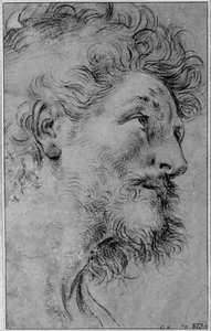 Studie af Sankt Crispins hoved af Guido Reni