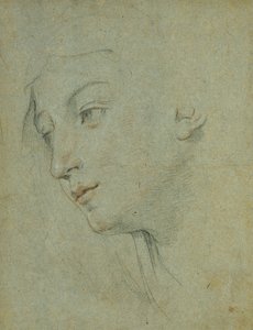 Hovedet af en kvinde, der ser ned til venstre, af Guido Reni
