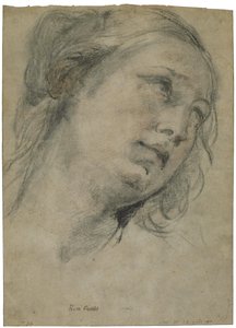 Hovedet af en ung kvinde, der kigger opad af Guido Reni
