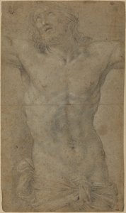 Torso af Kristus på korset af Guido Reni