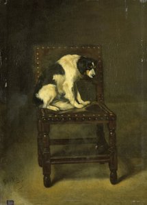 En hund på en stol