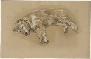 liggende hund