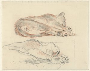 To undersøgelser af en tilbagelænet tiger af Guillaume Anne van der Brugghen