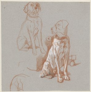 To undersøgelser af en siddende hund af Guillaume Anne van der Brugghen