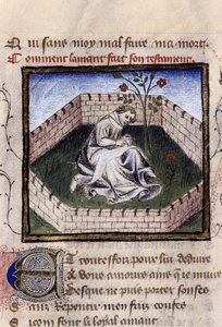 Repræsentation af en forelsket ung dreng i glædens have, der opdager Narcissus-fontænen, miniature i "Roman de la Rose" af Guillaume Lorris