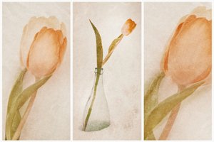 Delikat tulipan-stilleben af Gustav Davidsson
