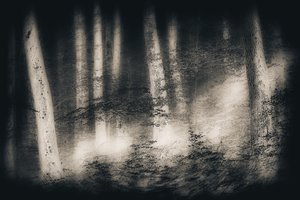 Drømmen om den tågede skov