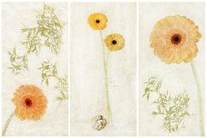Soft Gerbera-triptykon af Gustav Davidsson