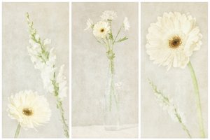 Bløde, hvide blomster af Gustav Davidsson