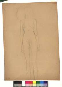Stehender weiblicher Akt af Gustav Klimt
