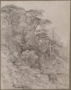 Træer i en klippeskråning af Gustave Achille Guillaumet