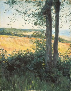 Ved havet, Normandiet, 1884 af Gustave Caillebotte