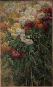 Krysantemum i haven i Petit-Gennevilliers af Gustave Caillebotte