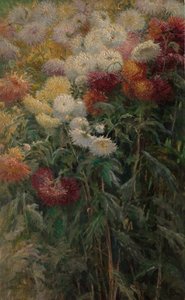 Krysantemum i haven ved Petit-Gennevilliers, 1893. af Gustave Caillebotte