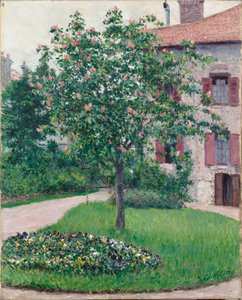 Træ i blomst, 1882.
