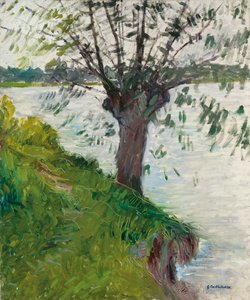Pil ved Floden; Saule au bord de la riviere, ca. 1891 af Gustave Caillebotte