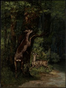 Rådyr i skoven af Gustave Courbet