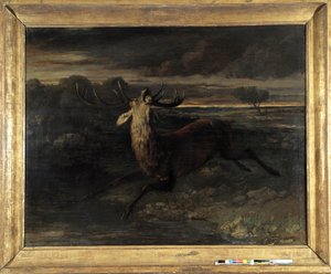 Hjorten har vand (jagt en løbetur) siger hjortens kraft (olie på lærred) af Gustave Courbet