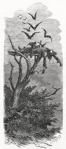En keltisk himmelbegravelse, 1866 af Gustave Dore