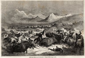 Bøffeljagt blandt Delawares, indianere, der bor ved bredden af floden af samme navn, tegning af Gustave dore (1832-1883), for at illustrere Mississippis rejse til Stillehavet i 1853-54 af Baudouin Mollhausen (1825- 1905). Engravi af Gustave Dore