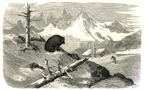 Kobberstik af Gustave Dore til bogen "Voyage aux Pyrenees d