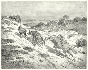 Gustave Dores Don Quixote: "Han førte røvet ved grimen og tog den nærmeste vej, han kunne gætte, til hovedvejen" (gravering) af Gustave Dore